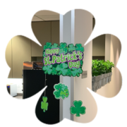 clover_03